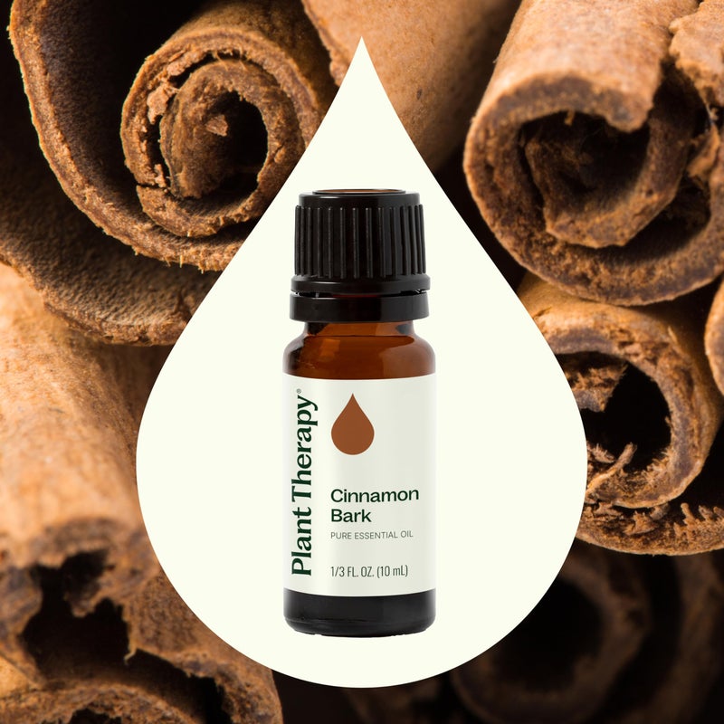 Plant Therapy Cinnamon Bark Essential Oil 10 mL (1/3 oz) 100% Pure, Undiluted, Cinnamon Oil for Diffuser, Spray, Candle Making, Spicy, Sweet Scent, Therapeutic Grade - Image 3